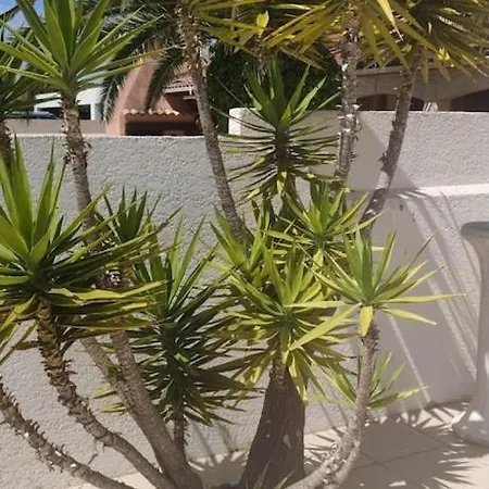 Maison De Lumineuse Et Agreable, Proche Plage, Commerces Et Montpellier Holiday home *